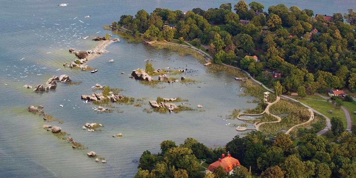 Nu kan stockholmare njuta av ett konstgjort rev på Djurgården.