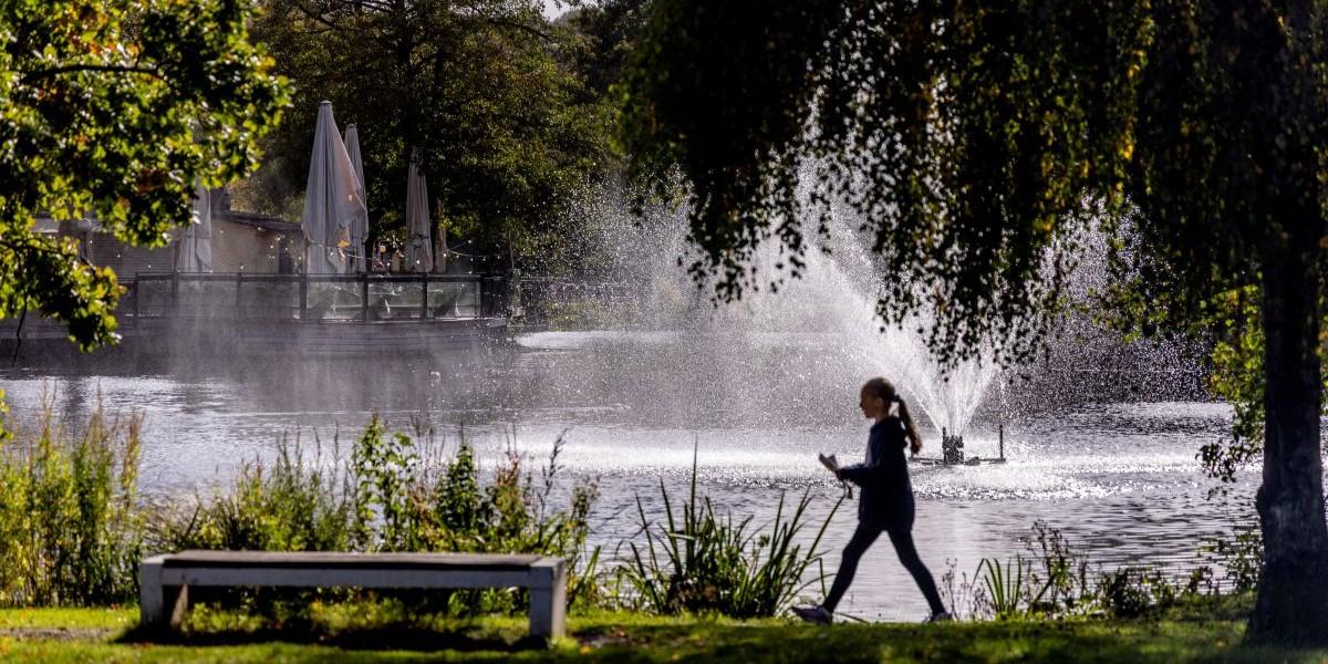 Mer jämställt ger oss bättre kondition