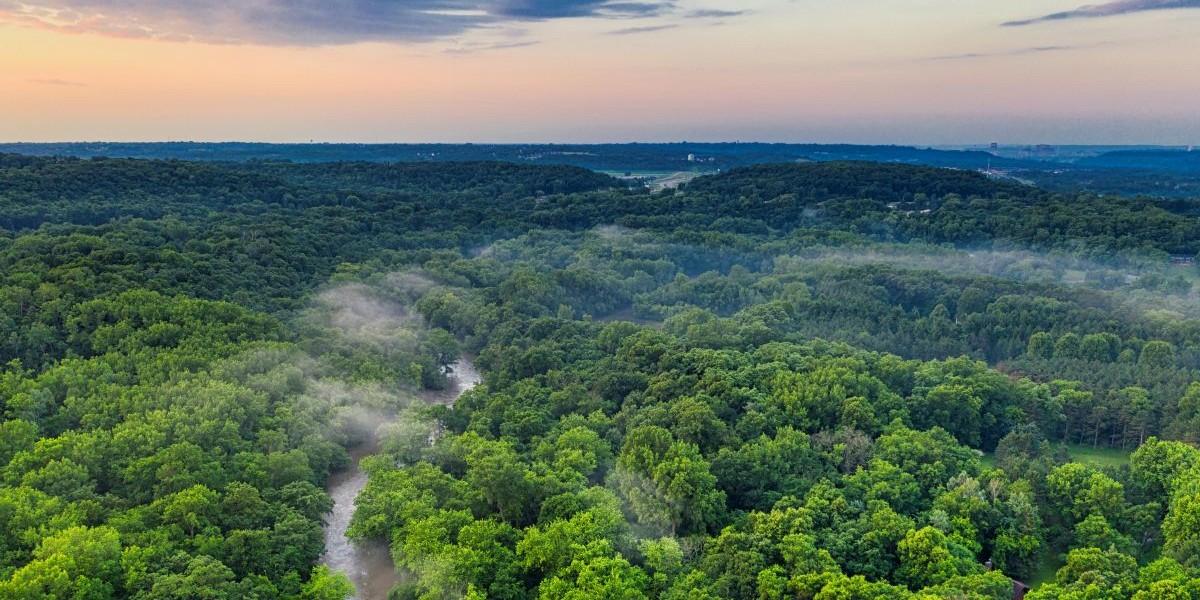 Ny rapport om miljökonsekvenser av vårt fika