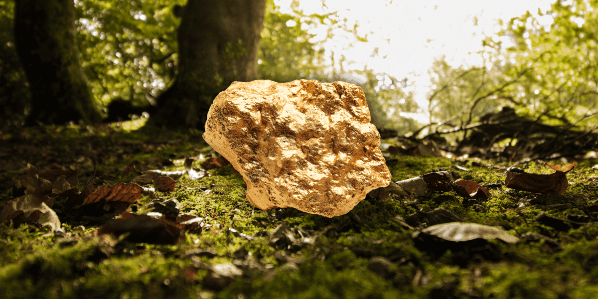 Lappland guldprospektering når nya framgångar