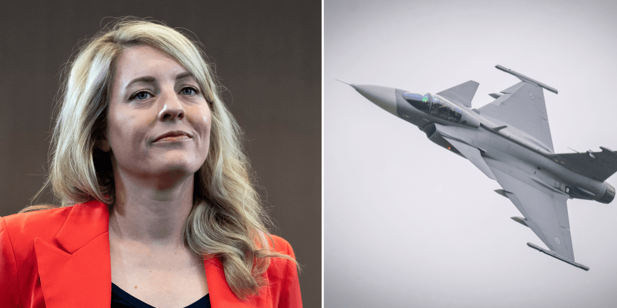 Melanie Joy och Gripen