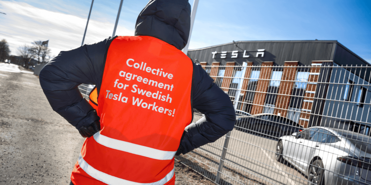 I vissa fall ger de upp i andra fall lägger de in en ny växel. (Foto: Claudio Bresciani/TT)