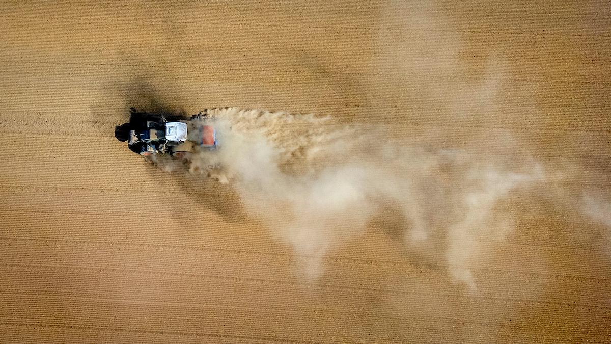 Prognoser pekar på att El Niño kan slå till i år, något som både ger såväl ökad värme som torka och översvämningar, som i sin tur får stora ekonomiska konsekvenser