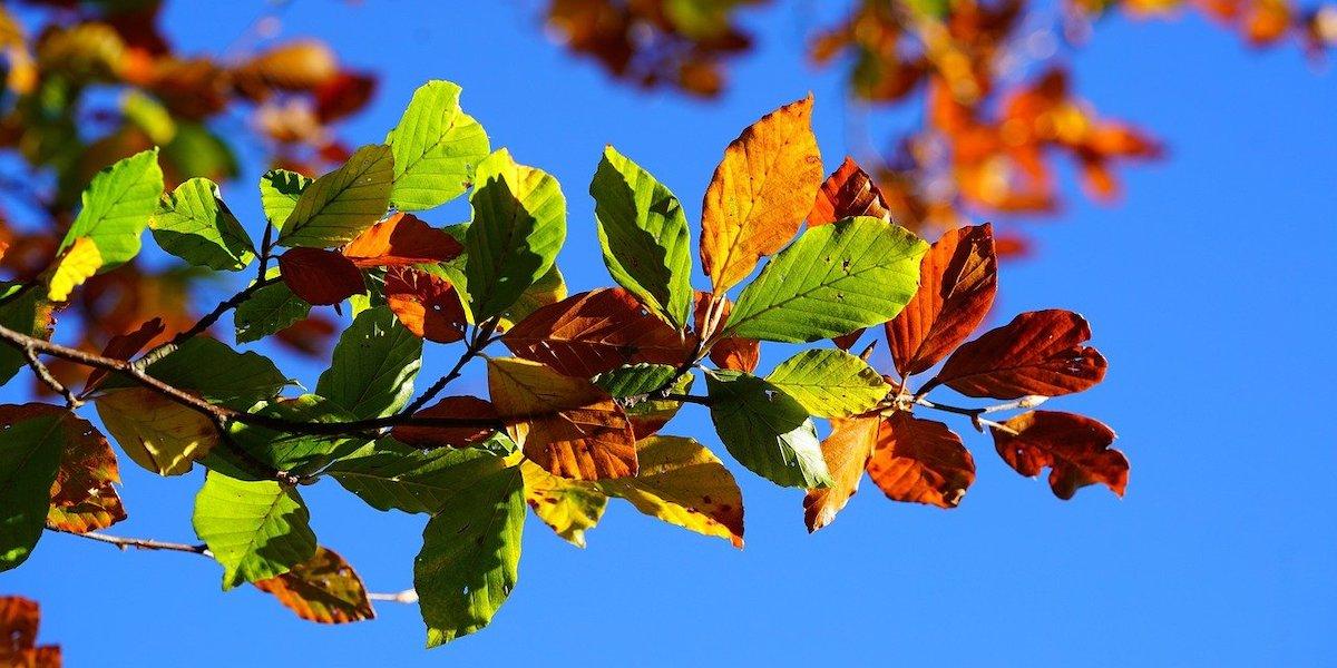 Stockholmsbörsen oktober