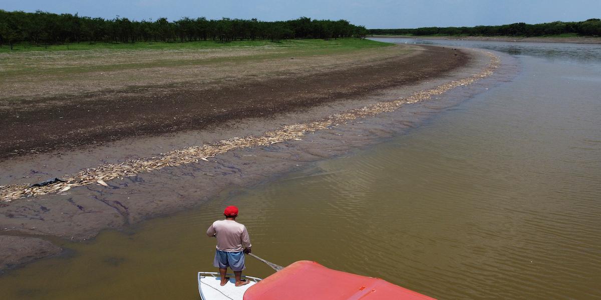 Amazonas