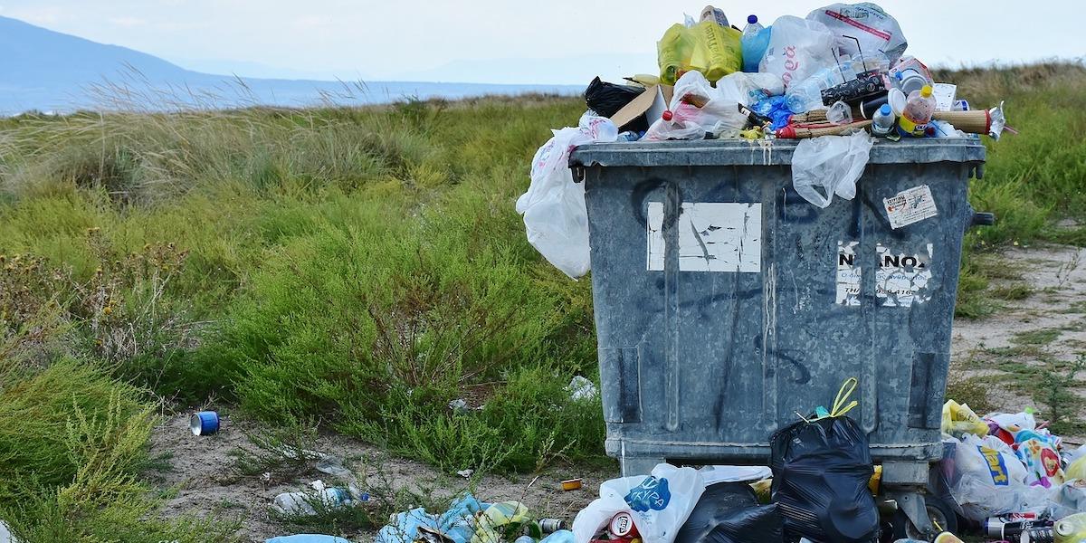 När plast bryts ned bildas minimala plastpartiklar som hamnar i miljön och påverkar hjärnan