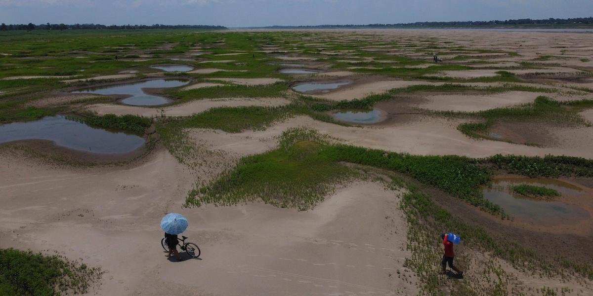 Amazonas