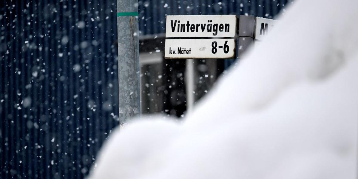 Vinter