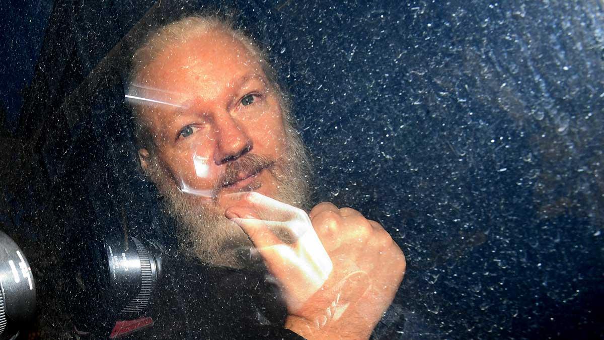 julian-assange-rättegång-miljoner
