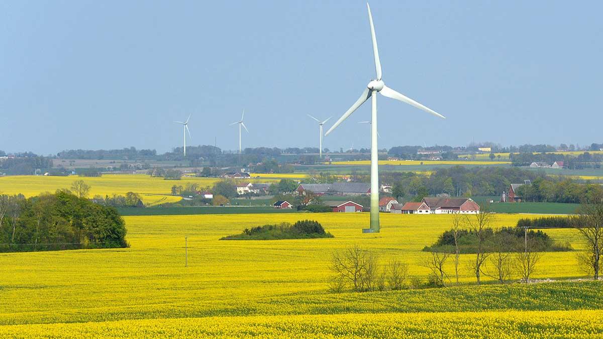 Vattenfall satsar på vindkraft