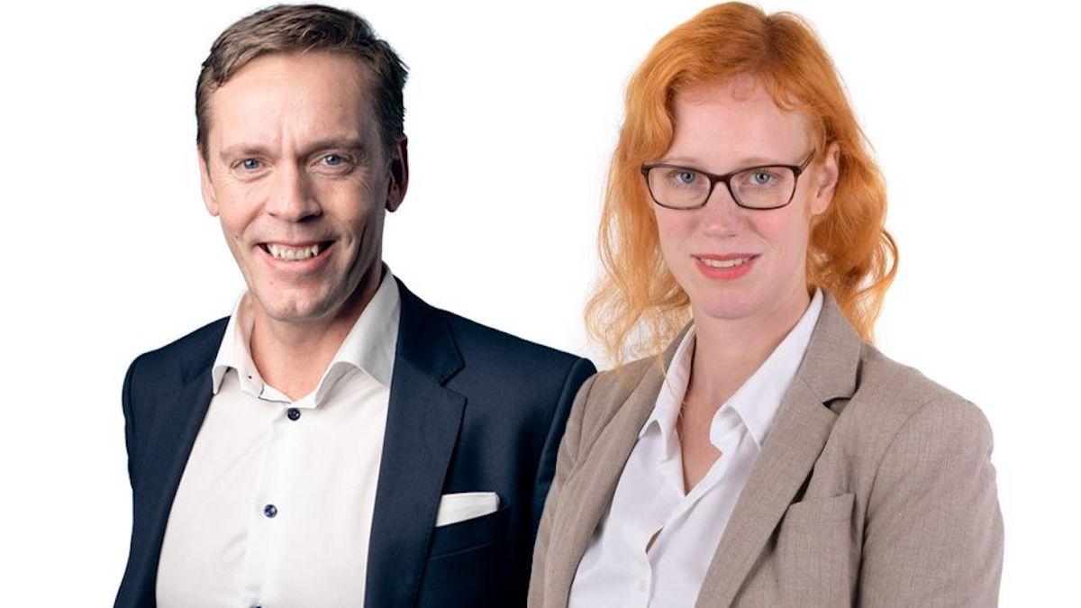 WSP omvänt mentorskapsprogram
