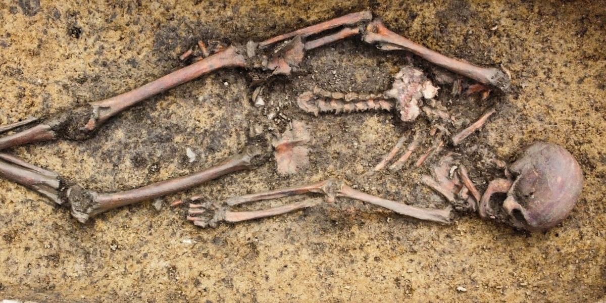 Över 50 skelett har hittats vid en gravplats för vikingar i Danmark.