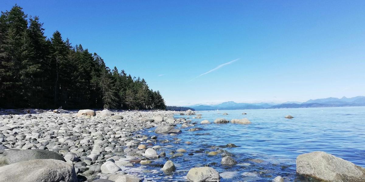 Kustvattnen i Stilla havet förändras nu betydligt snabbare än tidigare prognoser visat, enligt forskare.