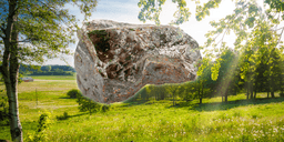 Sverige sitter på framtidens olja: "Europa vill minska beroendet"