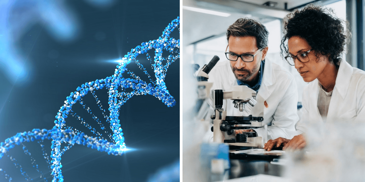 Forskare har för första gången ersatt en mänsklig kromosom med en syntetisk i cellkultur – ett genombrott inom syntetisk biologi, rapporterar Financial Times.