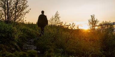 Fler och fler hatar naturen